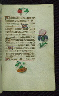 W.427, fol. 169r