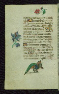 W.427, fol. 169v