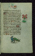 W.427, fol. 172r