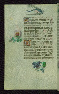 W.427, fol. 173v