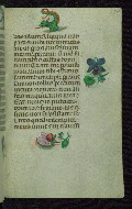 W.427, fol. 174r