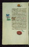 W.427, fol. 175v