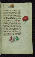 W.427, fol. 176r