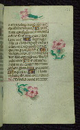 W.427, fol. 177r