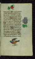 W.427, fol. 178r
