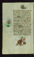 W.427, fol. 178v