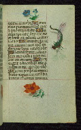 W.427, fol. 180r