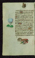W.427, fol. 180v