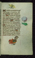 W.427, fol. 181r