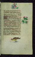 W.427, fol. 182r
