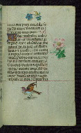 W.427, fol. 184r