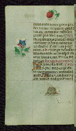 W.427, fol. 184v