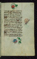 W.427, fol. 185r