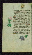 W.427, fol. 185v