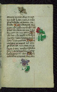 W.427, fol. 186r