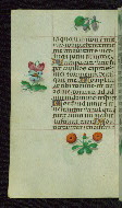W.427, fol. 186v