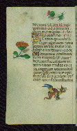 W.427, fol. 187v