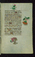 W.427, fol. 188r