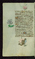 W.427, fol. 189v