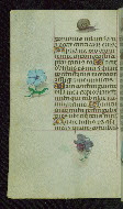 W.427, fol. 190v