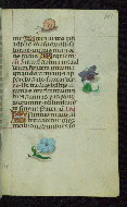 W.427, fol. 191r