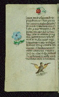 W.427, fol. 191v