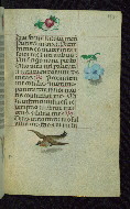 W.427, fol. 192r