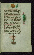 W.427, fol. 194r