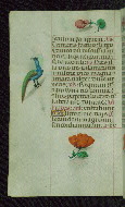 W.427, fol. 194v