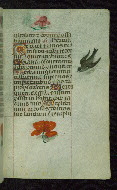 W.427, fol. 195r