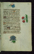 W.427, fol. 196r
