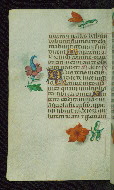 W.427, fol. 196v