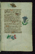 W.427, fol. 199r