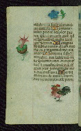 W.427, fol. 199v