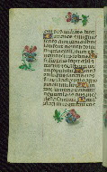 W.427, fol. 201v