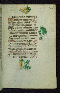 W.427, fol. 203r