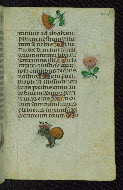 W.427, fol. 204r