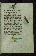 W.427, fol. 208r