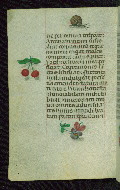 W.427, fol. 209v