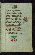 W.427, fol. 210r