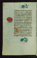 W.427, fol. 210v