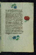 W.427, fol. 211r