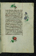 W.427, fol. 212r