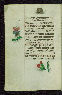 W.427, fol. 212v