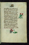W.427, fol. 213r
