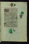 W.427, fol. 214r