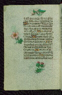 W.427, fol. 214v