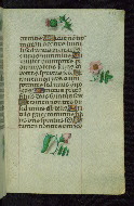 W.427, fol. 215r