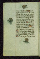 W.427, fol. 215v