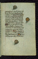 W.427, fol. 216r